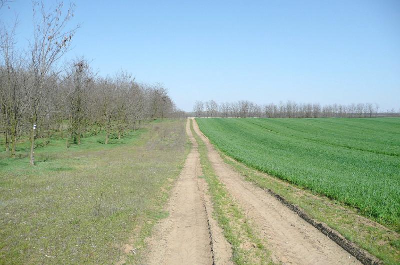 akk 08.JPG